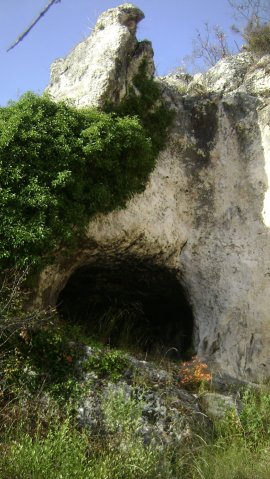 DSC06838-1