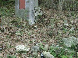 DSC06752-1