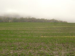 DSC06769-1