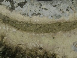 DSC06823-1