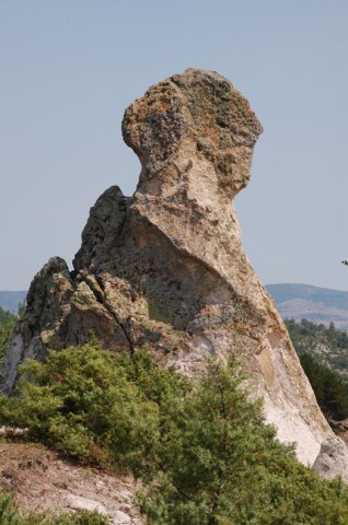 DSC_4188