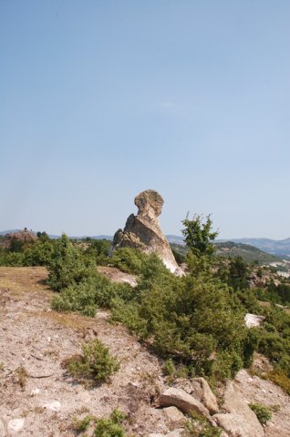 DSC_4189