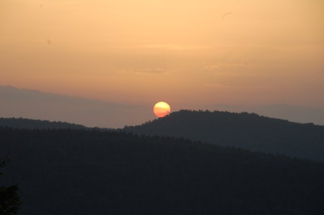 DSC_0956