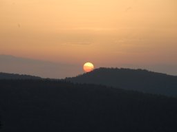 DSC_0956