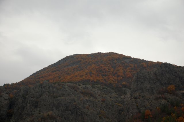 DSC_2276