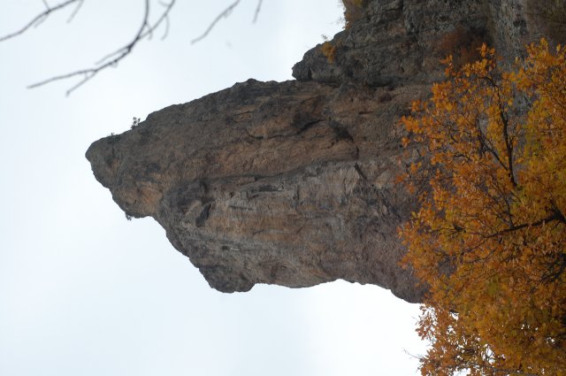 DSC_2347