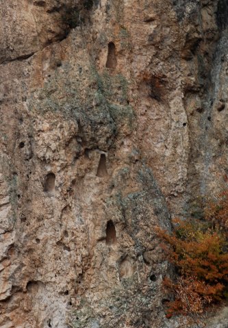 DSC_2360-1