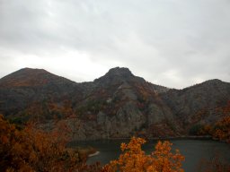 DSC_2266