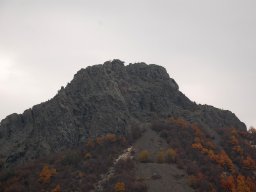 DSC_2270