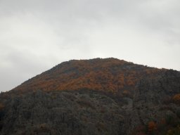 DSC_2276
