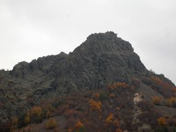 DSC_2277~0