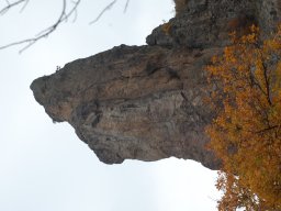 DSC_2347