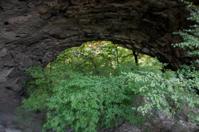 DSC_3390-1