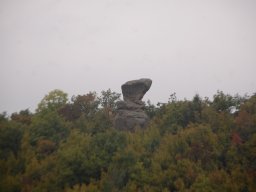 DSC_3337-1