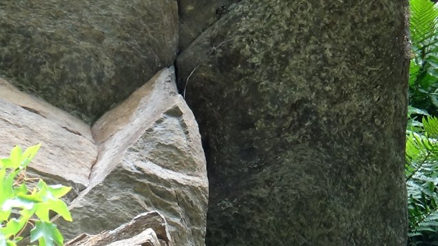 DSC01709-1