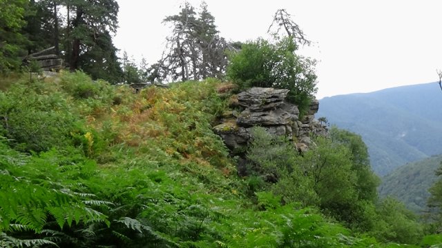 DSC01764-1