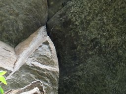 DSC01709-1