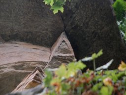DSC_5475-1