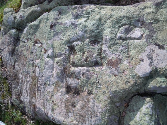 DSCN7907-1