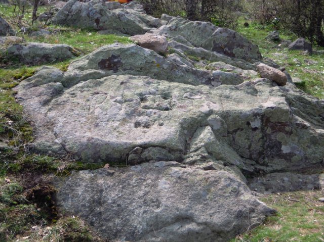DSCN7940-1