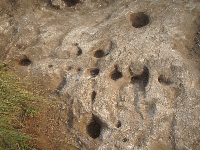 P7190040