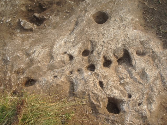 P7190045