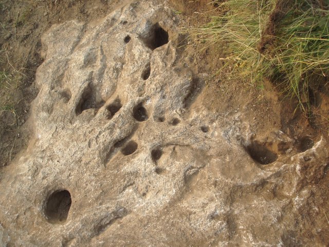 P7190049