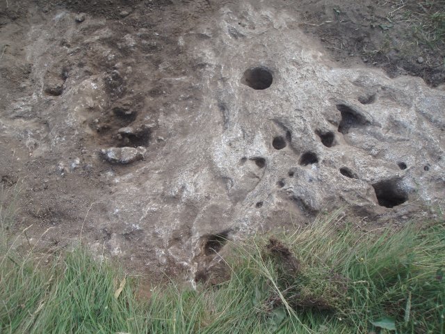 P7190086
