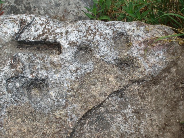 P7200124
