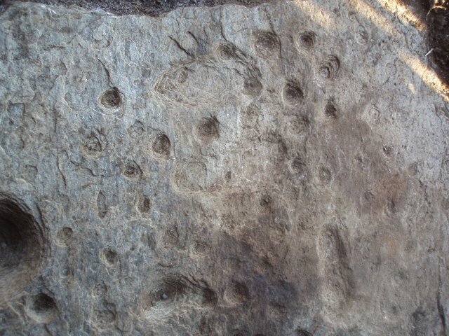 PC310275