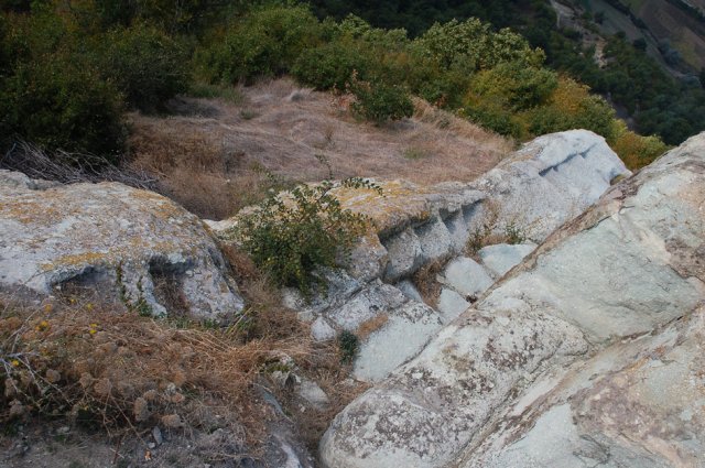 DSC_1430m