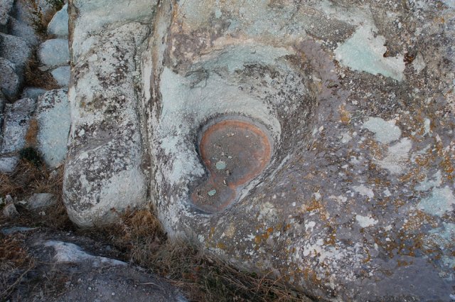 DSC_1432m