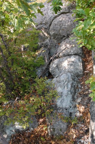 DSC_1455m