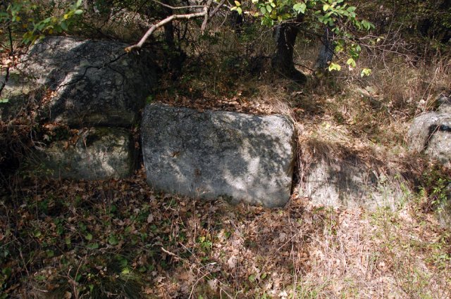 DSC_1468m