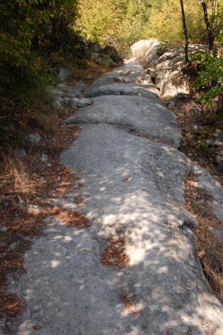 DSC_1531m