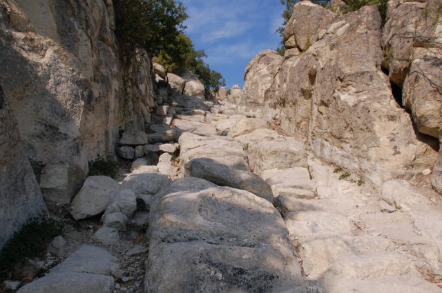 DSC_1538m
