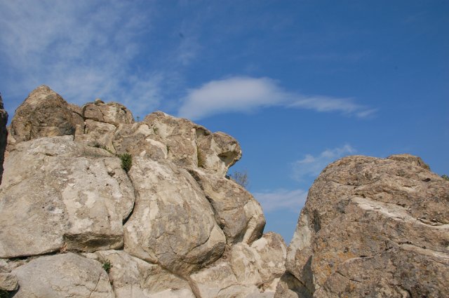 DSC_1549m