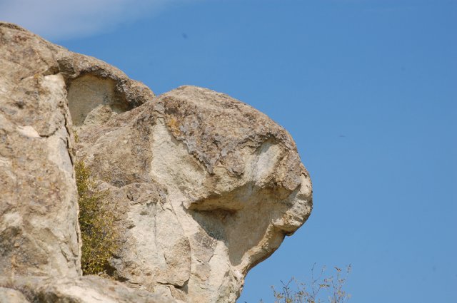 DSC_1551m