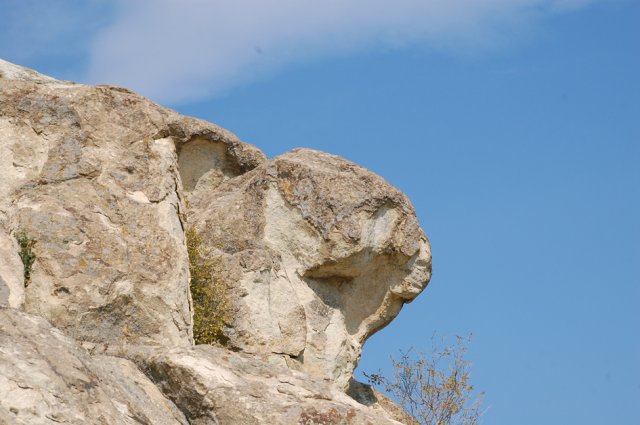 DSC_1552m