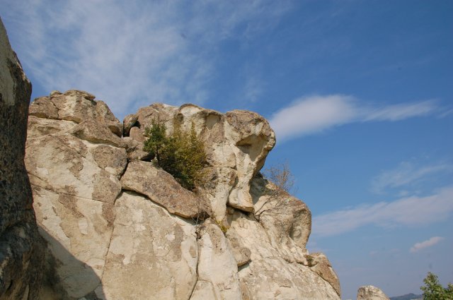 DSC_1553m