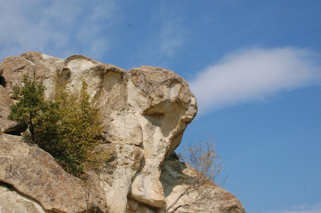 DSC_1554m