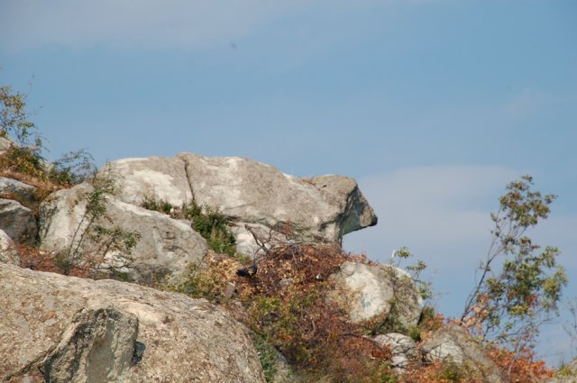 DSC_1652m