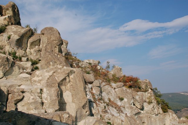 DSC_1655m