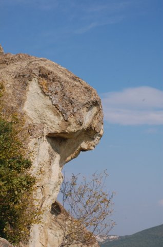 DSC_1660m