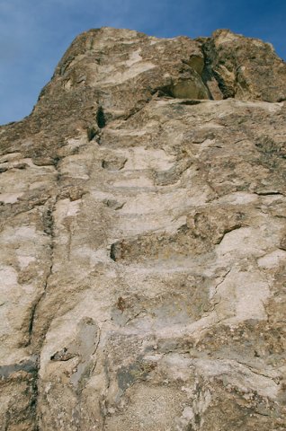 DSC_1663m
