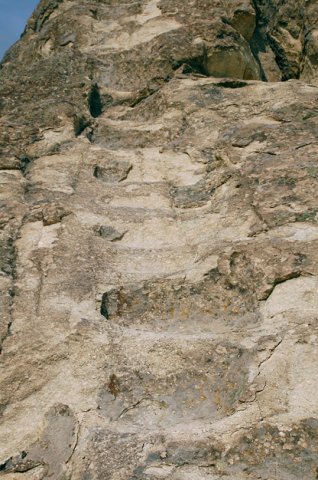 DSC_1665m