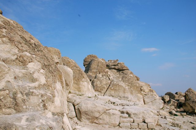 DSC_1667m