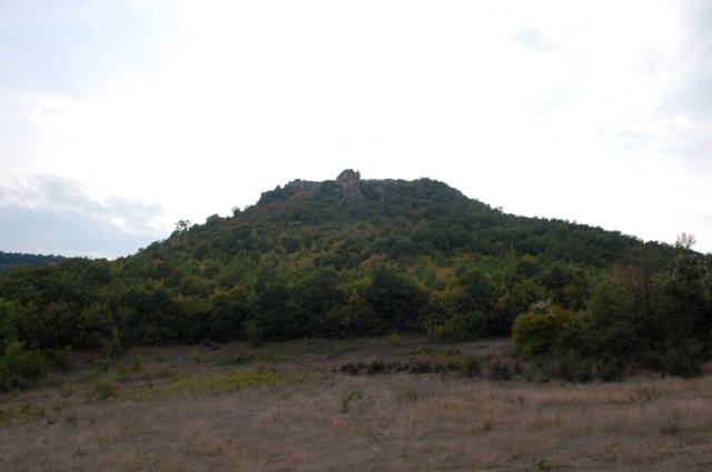 DSC_1904m