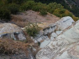 DSC_1430m