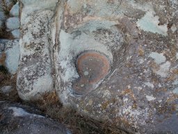 DSC_1432m